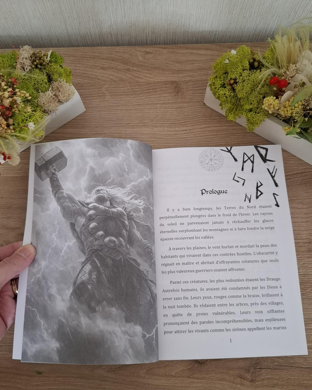 Le serment des runes - Tome 1 : Le bouclier de Thor