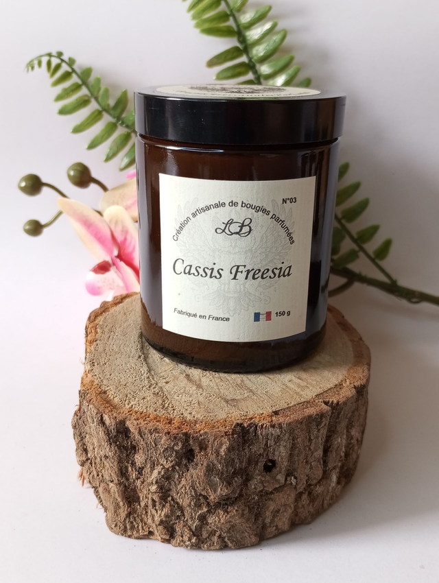Cassis freesia