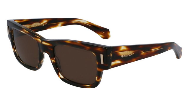 Eyewear Man Salvatore Ferragamo  SF2011S 216