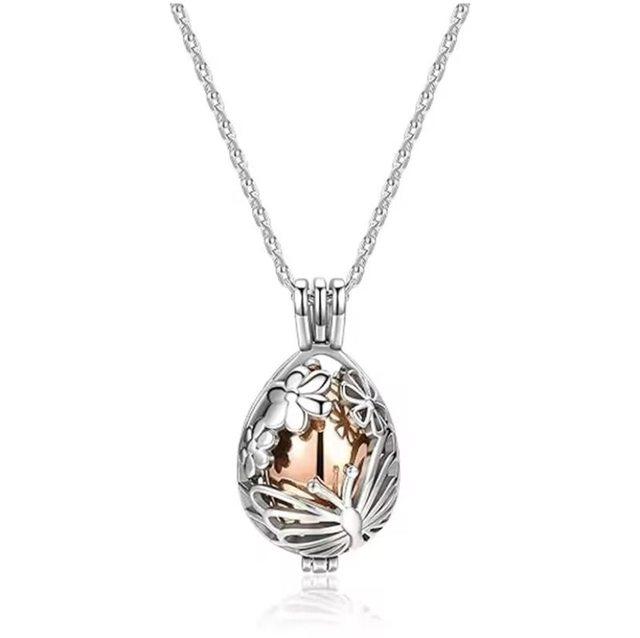 Ashanger met capsule
