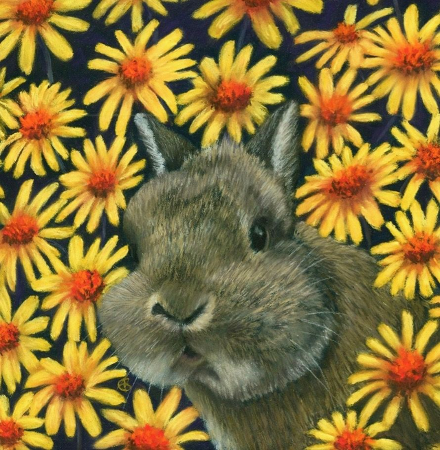 Greeting Card 'NIJN' (Konijnenparadijs)