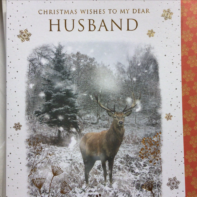 Christmas Husband (Winter Stag) NQ