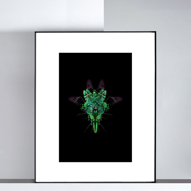 Imago Vert | Tirage 3/8