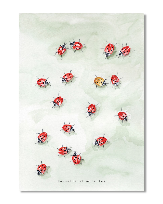 La parade des coccinelles (illustration)