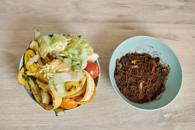 DEMO TEROEKODRY PREMIUM