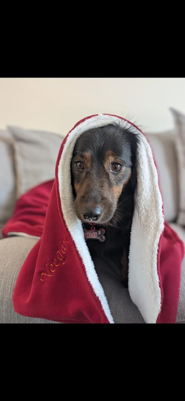 Personalised embroidered cuddle fleece blanket