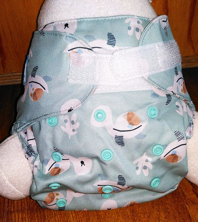 Blumchen - Culotte TE2 "Cosy 1" 