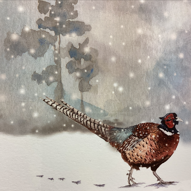 Christmas Sophie Botsford - Christmas Pheasant 