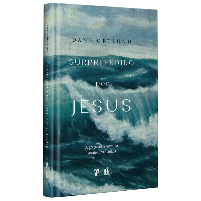 Surpreendido por Jesus: A graça subversiva nos quatro evangelhos