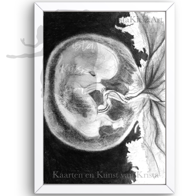 Baby in de buik, prachtige zwart wit print van potlood tekening door Krista Kitsz 