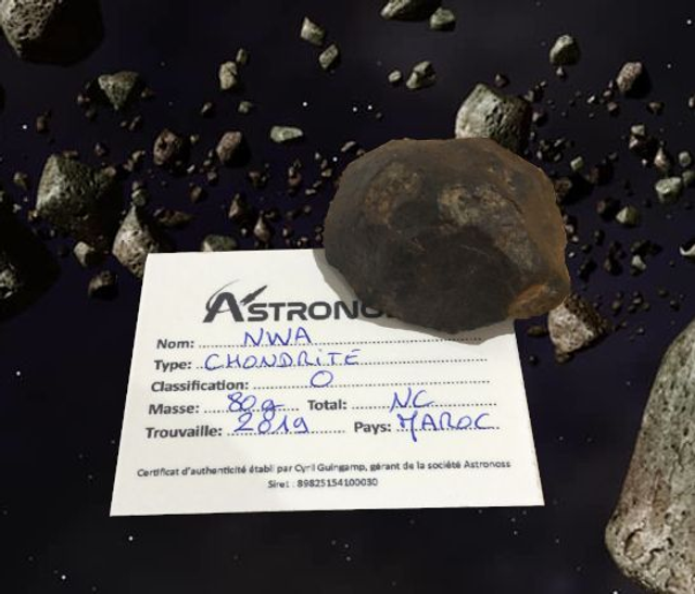 Météorite type Chondrite - 80Gr - Fournie avec son certificat