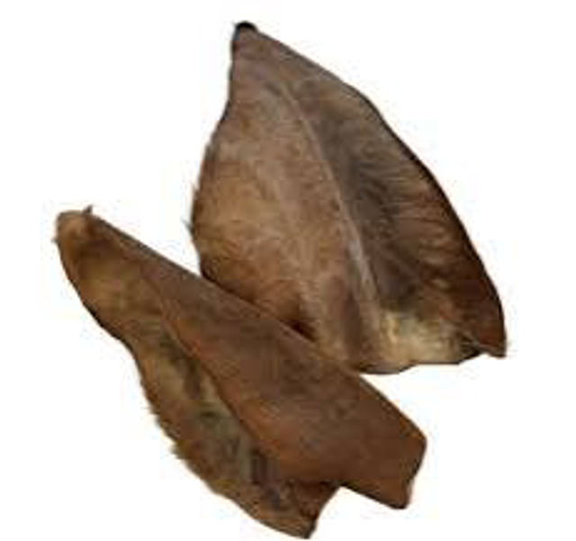 Oreille de buffle avec poils