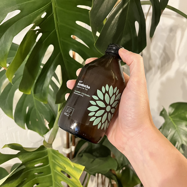 Kombucha Okurka a Koriandr 0,33l