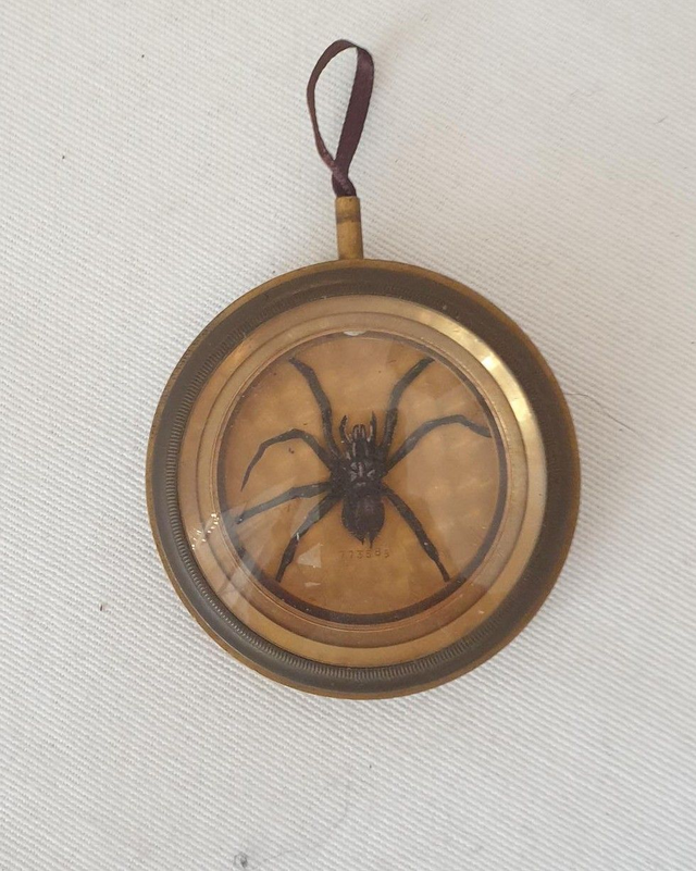 Araignée - découpage papier dans une ancienne montre à gousset 