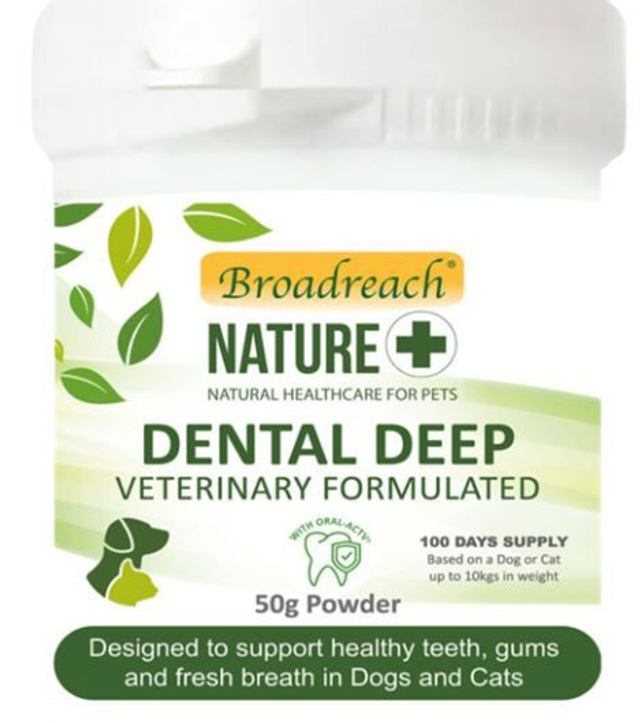 Broadreach Nature Dental Powder