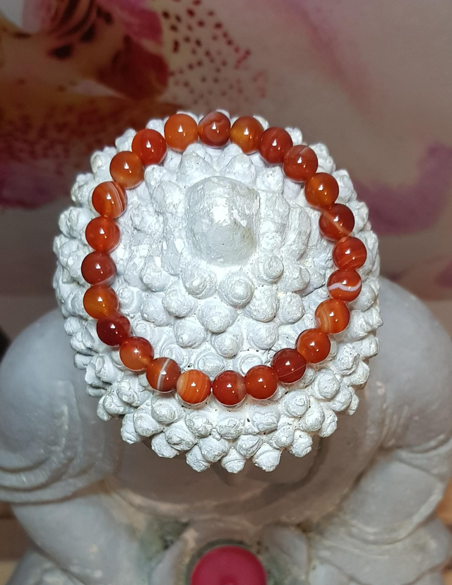 Vitalité, Courage, Confiance