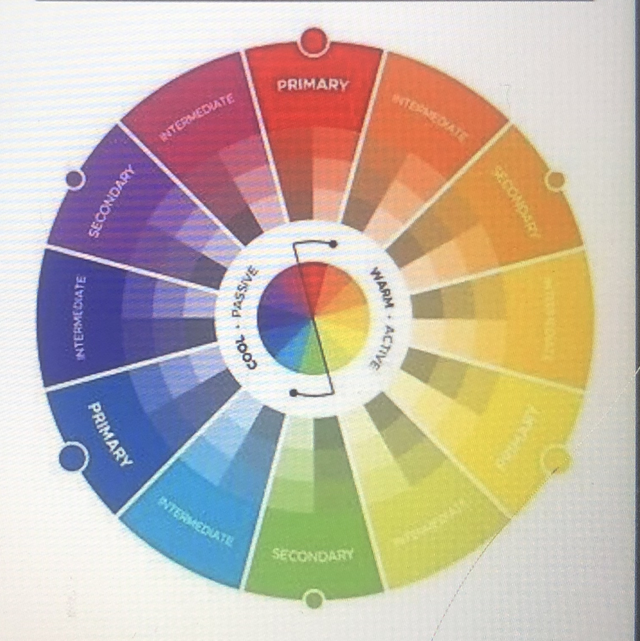Arte del colore  Da Lunedi 2 Febbraio (dalle 20:00 alle 22:00) iva compresa