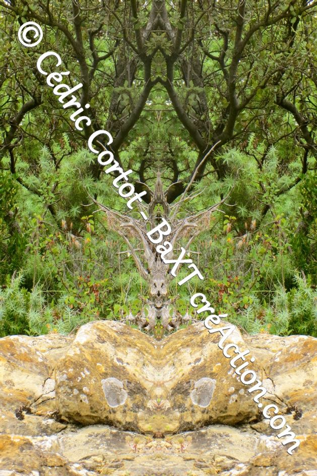 Impression sur alu dibond - Entre réel et irréel (ref 1285 R)