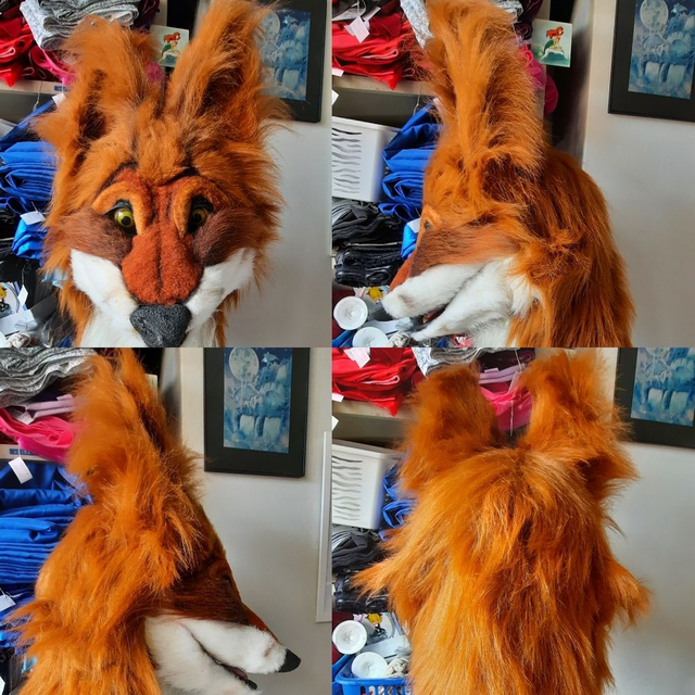 Realistic Fox (hoofd, voorpoten en staart)