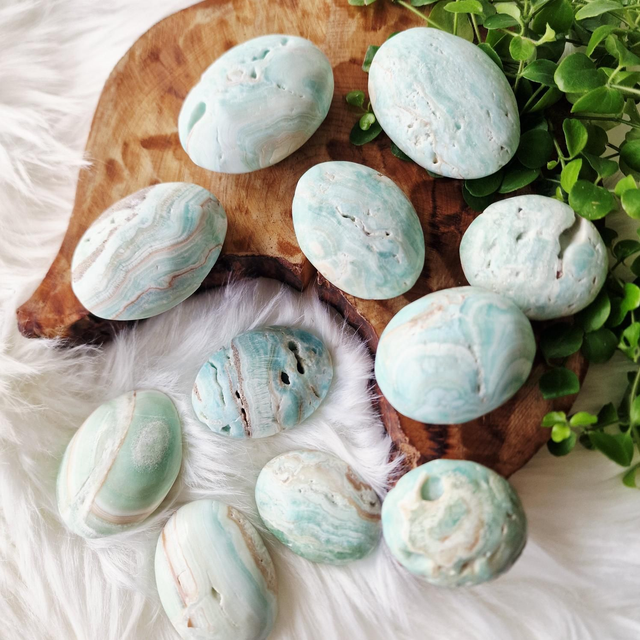 Blue Aragonite palm 