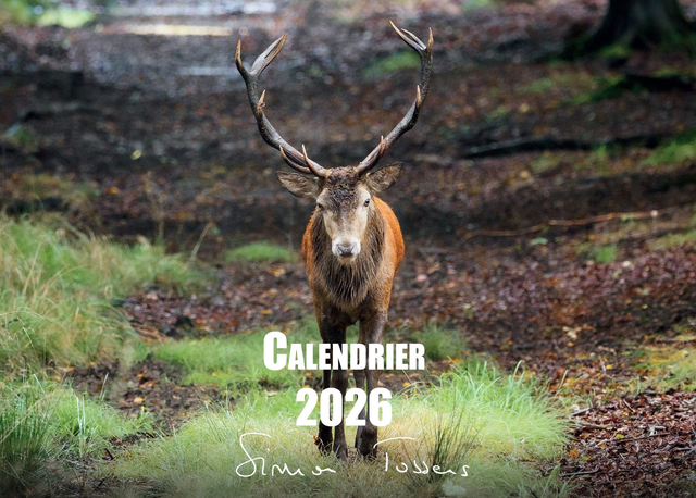 Calendrier 2026