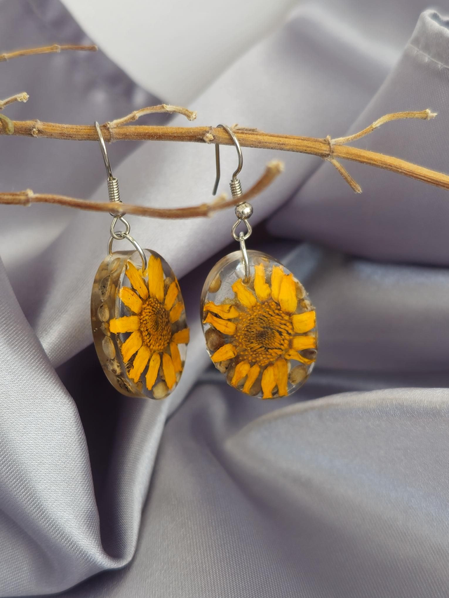 Calêndula silvestre