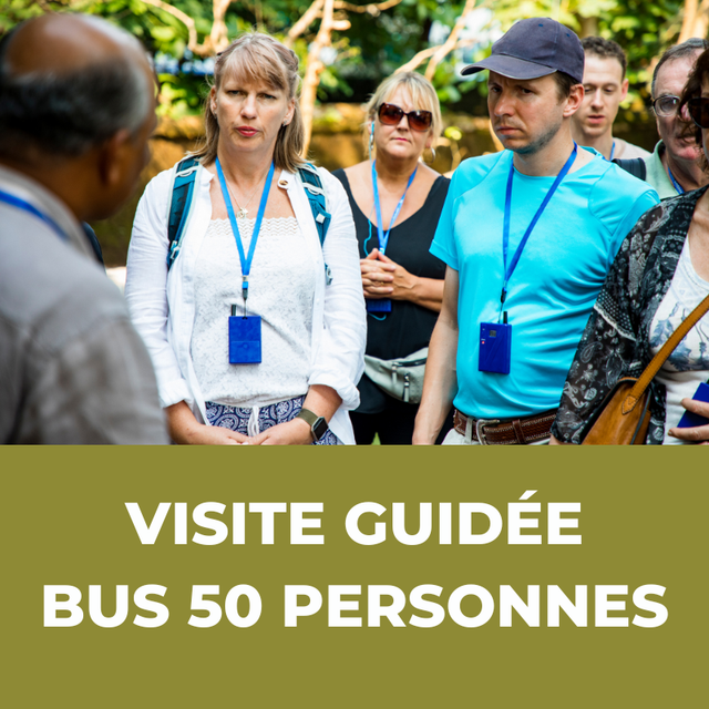 Visite Guidée (Bus 50 personnes)