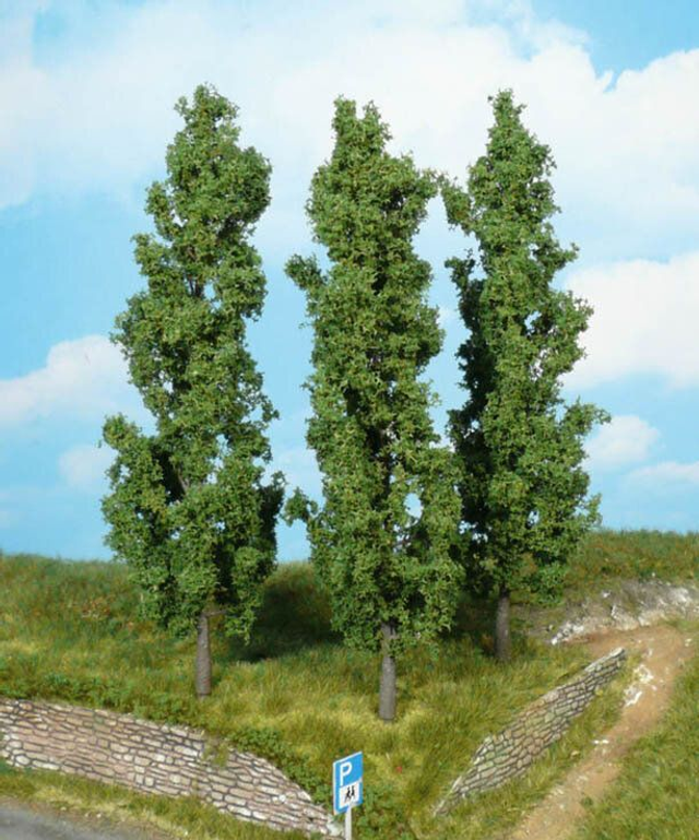 3 peupliers 18cm Héki 1918
