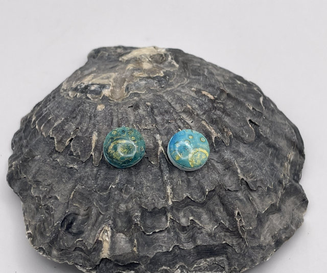 Blue medium studs