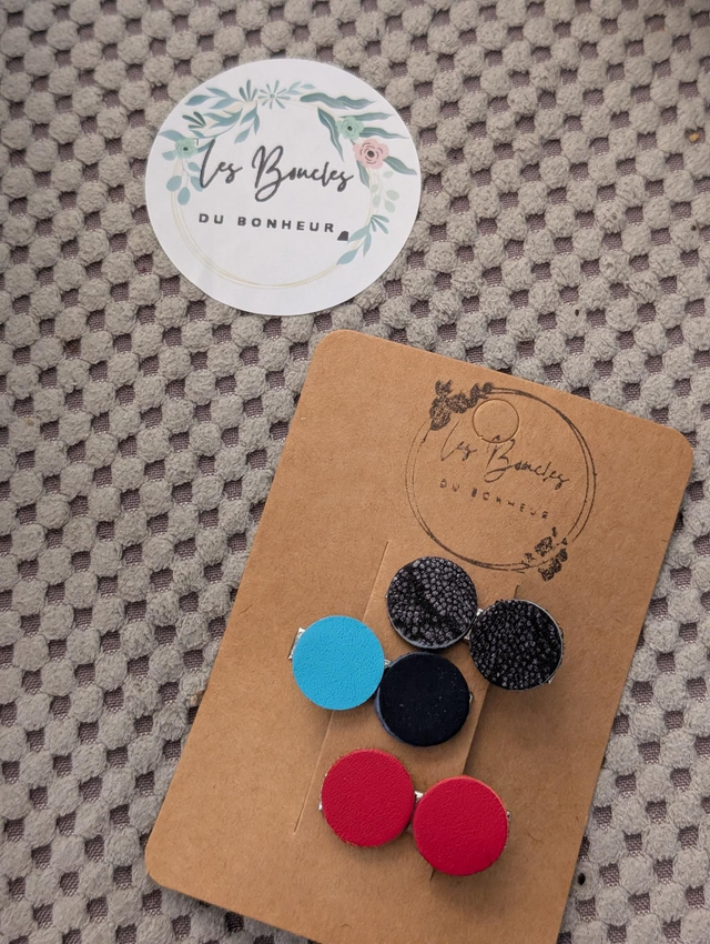 Barrette b036