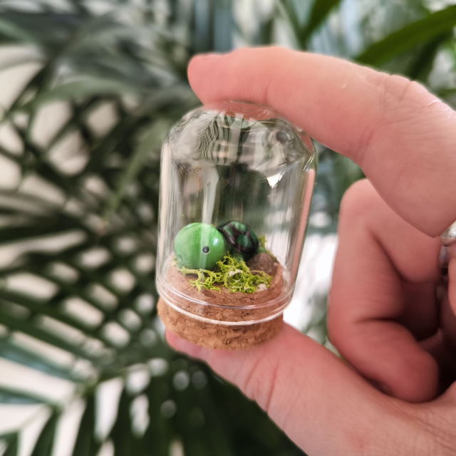 Toup&#039;tit protecteur - Tortue