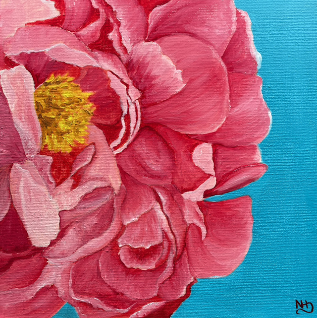 Peony in Pink