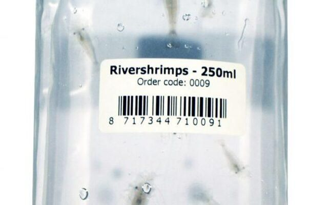 Glas garnaal 250ml 8717344710091