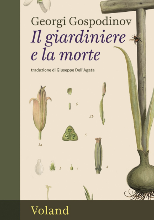 Gospodinov Georgi - Il giardiniere e la morte