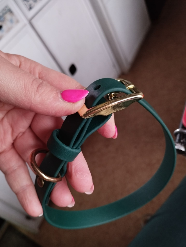 Collier Biothane (19mm) personnalisable