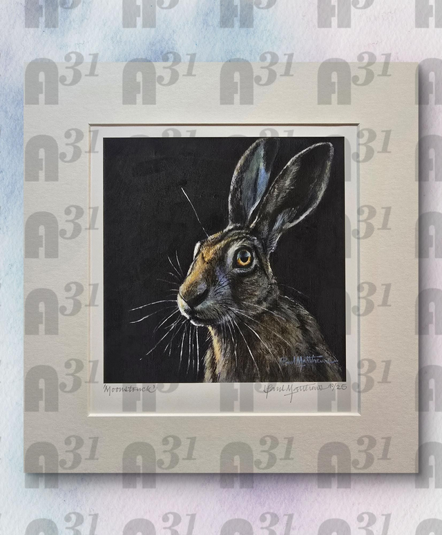 581. Hare Limited edition print 10/25