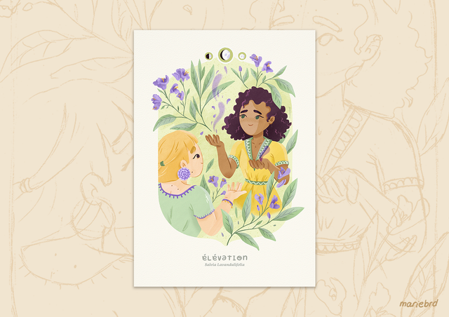 Élévation et Sauge | Print A4 - Collection des plantes 🌿