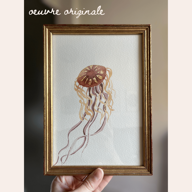 Méduse corail