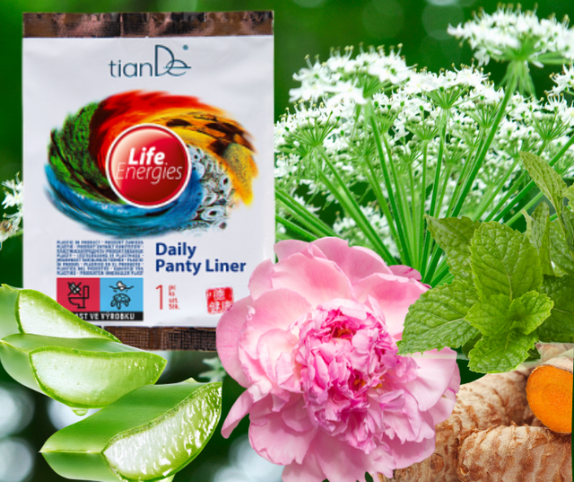 Denní vložka Energie života