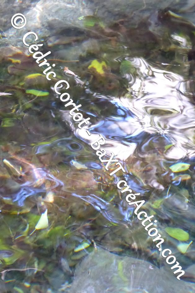 Impression sur alu dibond - Reflets et cours d'Eau (ref P1190477)