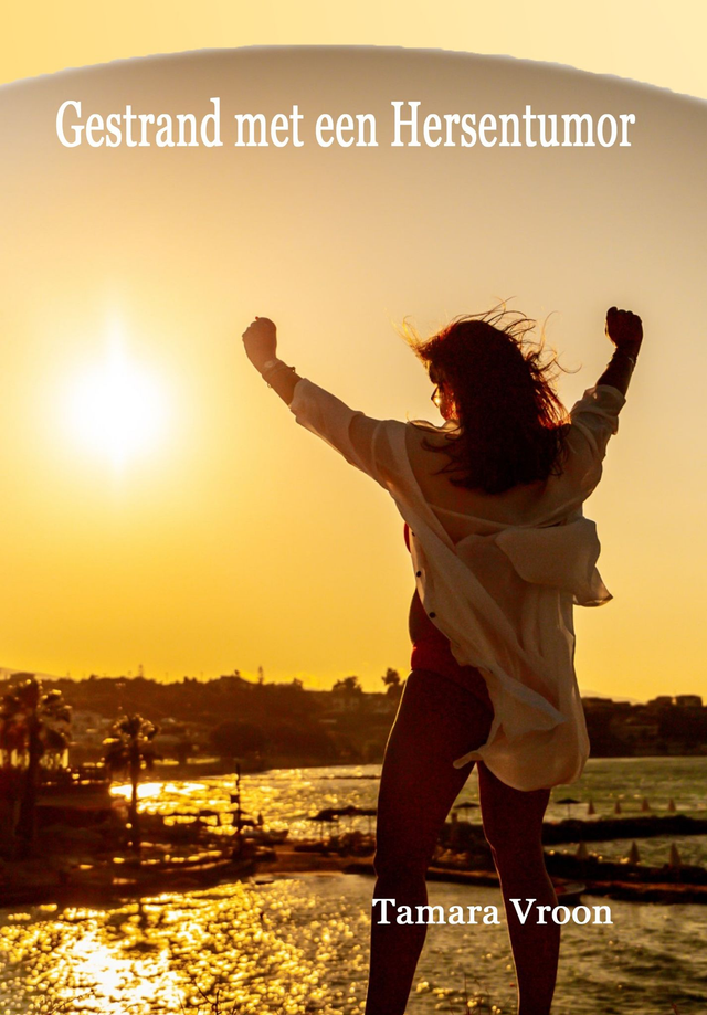 Boek Gestrand met een Hersentumor