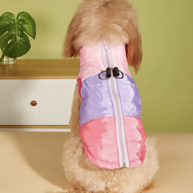 Jackets pink and Purple 