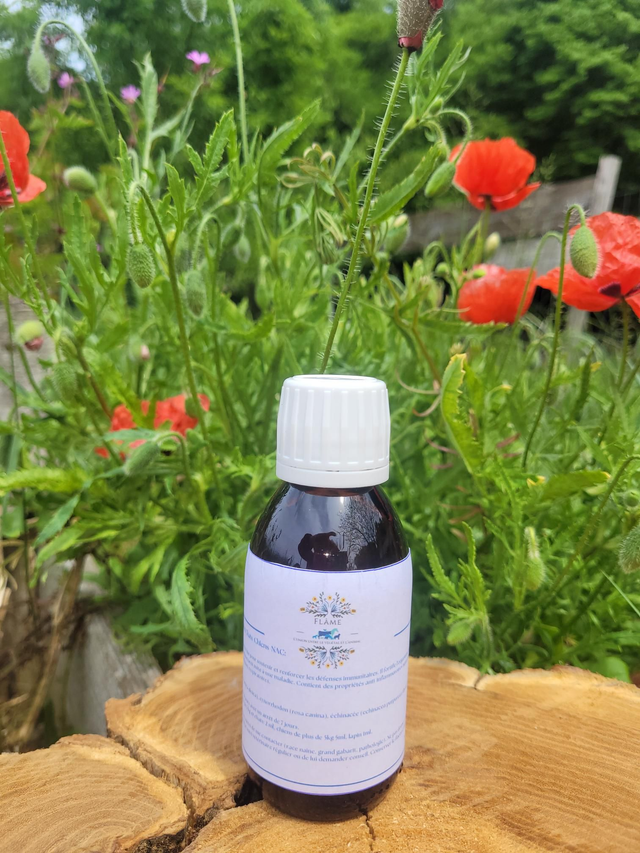 Immunity boost Chats/Chiens/NAC