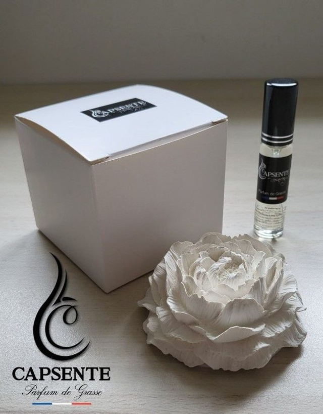 Coffret Diffuseur Pivoine