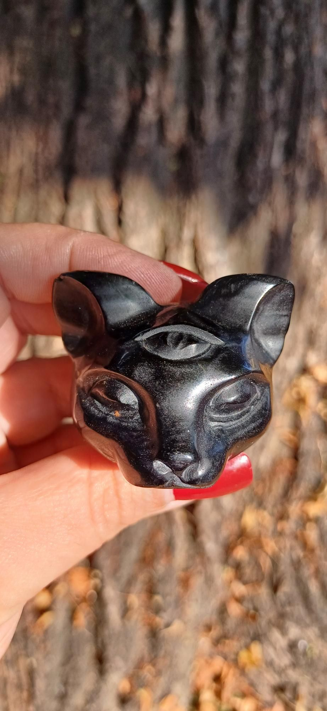Obsidian Third Eye Cat Head