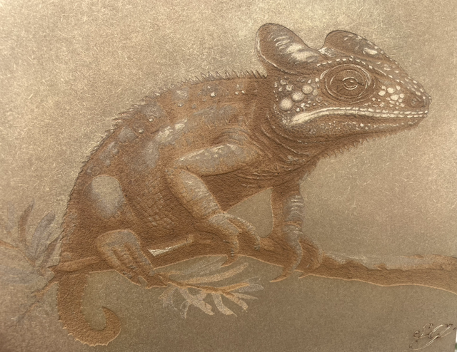 Le caméléon 