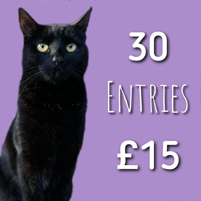 Julie's Easter Hamper Raffle for Feline Care 30 entries