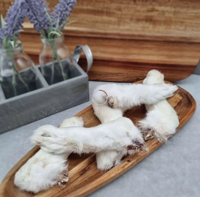 Rabbit feet