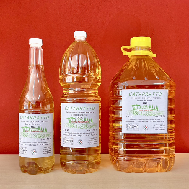 Vino Bianco Catarratto IGP Terre Siciliane 2024
