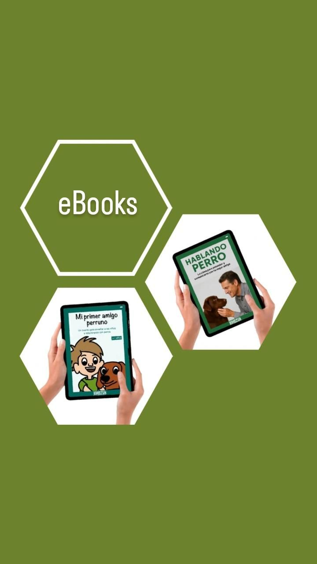 Pack Lector Digital